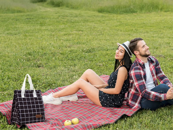 Outdoor picnic scene with checkered black and white tote bag on red plaid blanket spread on green grass. Two apples visible near the bag.