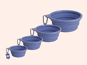 Collapsible Dog Bowl