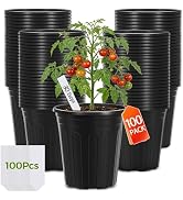 GroTheory 100 Pack 1 Gallon Nursery Pots, 6.7 Inch Plastic Pots for Plants, Plastic Flower Pots, ...