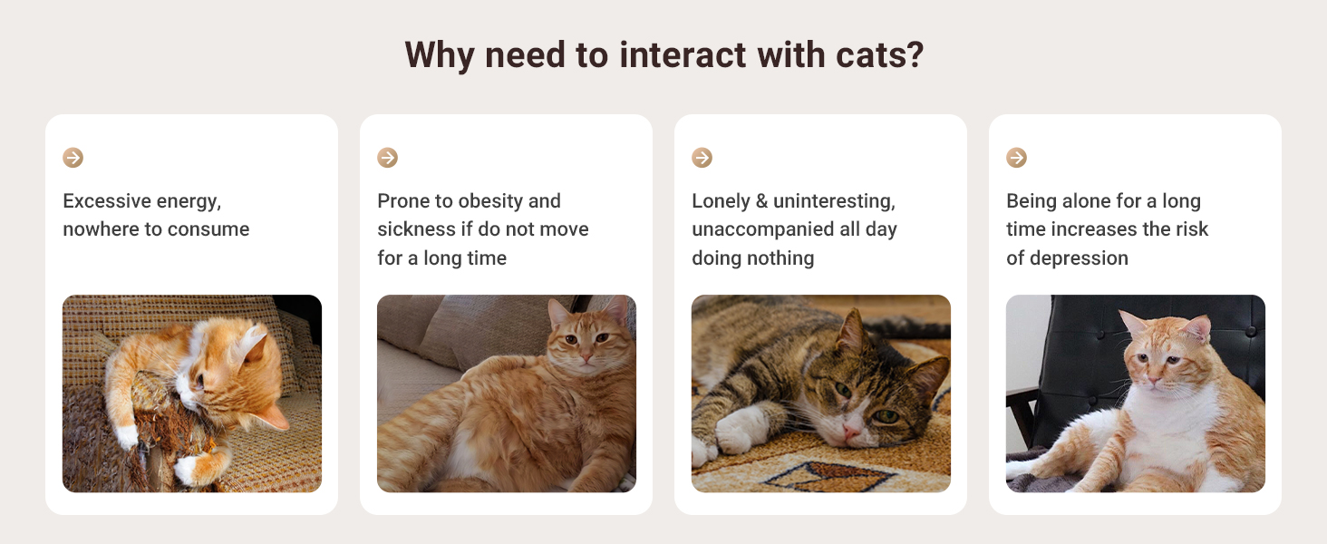 Laser Cat Toys