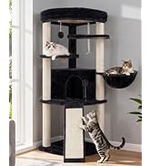 Gitelsnour Corner Cat Tree for Indoor Cats, Cat Tower with All Sisal Scratching Posts, Multi-Leve...