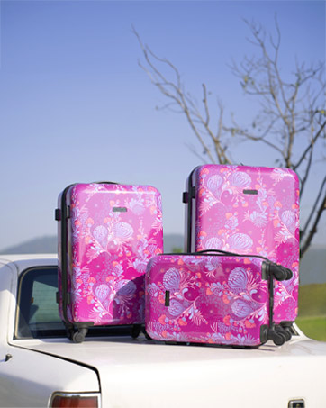 Bella Lifestyle