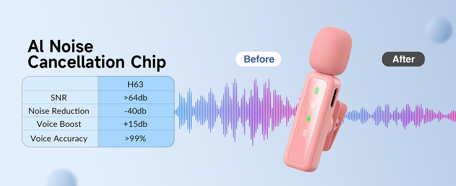 Chip