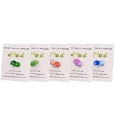 5Pcs Mini Pocket Hug Turtle, You're Turtley Awesome Inspirational Gift with Card, Thank You Note ...