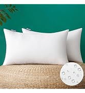 MIULEE 12x20 Inch Outdoor Pillow Inserts Set of 2, Waterproof Throw Pillows | Decorative Throw Pi...