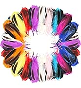 FeelfunFeather 120pcs Duck Feathers 4-6 inch Mix Color Feather Bulk for Craft Wedding Home Party ...
