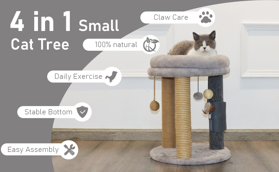 cat tree