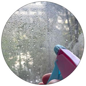 Ring Static Window Decals for Bird Strikes