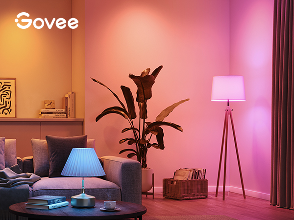 govee smart light bulb a19 led light bulb