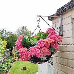 s hooks for hanging plants