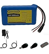 youchen 24V 5200mAh Lithium ion Battery Pack with Charger,Rechargeable Li-ion Battery with Bare W...