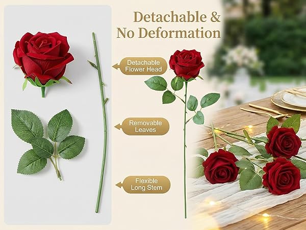 red roses 05