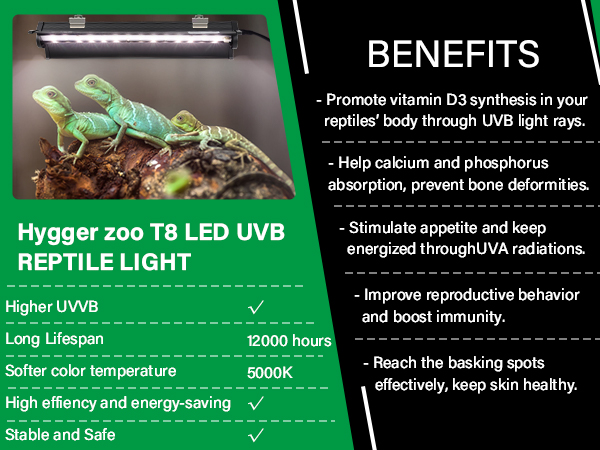 UVB reptile light
