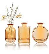 Joeyan Amber Glass Bud Vase Set of 3 - Decorative Rustic Flower Vase - Small Bottle Vase Centerpi...