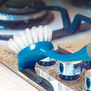 Dish brush