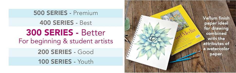 Strathmore 300 Series papers, better quality for beginning and student artists. Drawing, painting