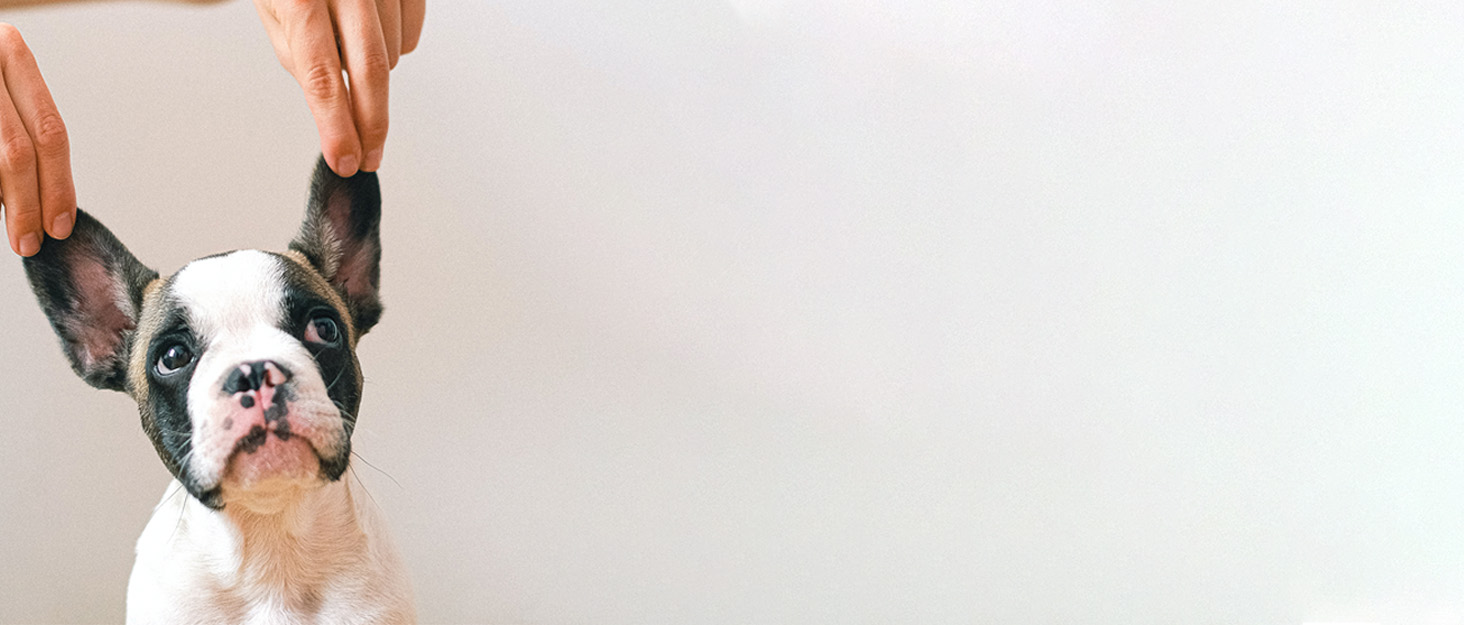 banner5