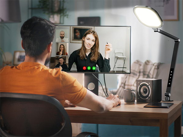 Video Conference Light