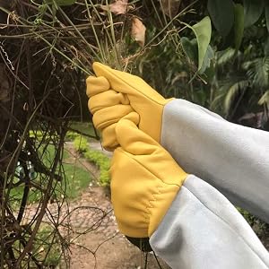 dealing weeds pruning rose cactus cacti poisn ivy long sleeve garden gloves