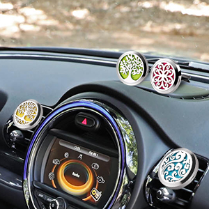 car diffuser clip