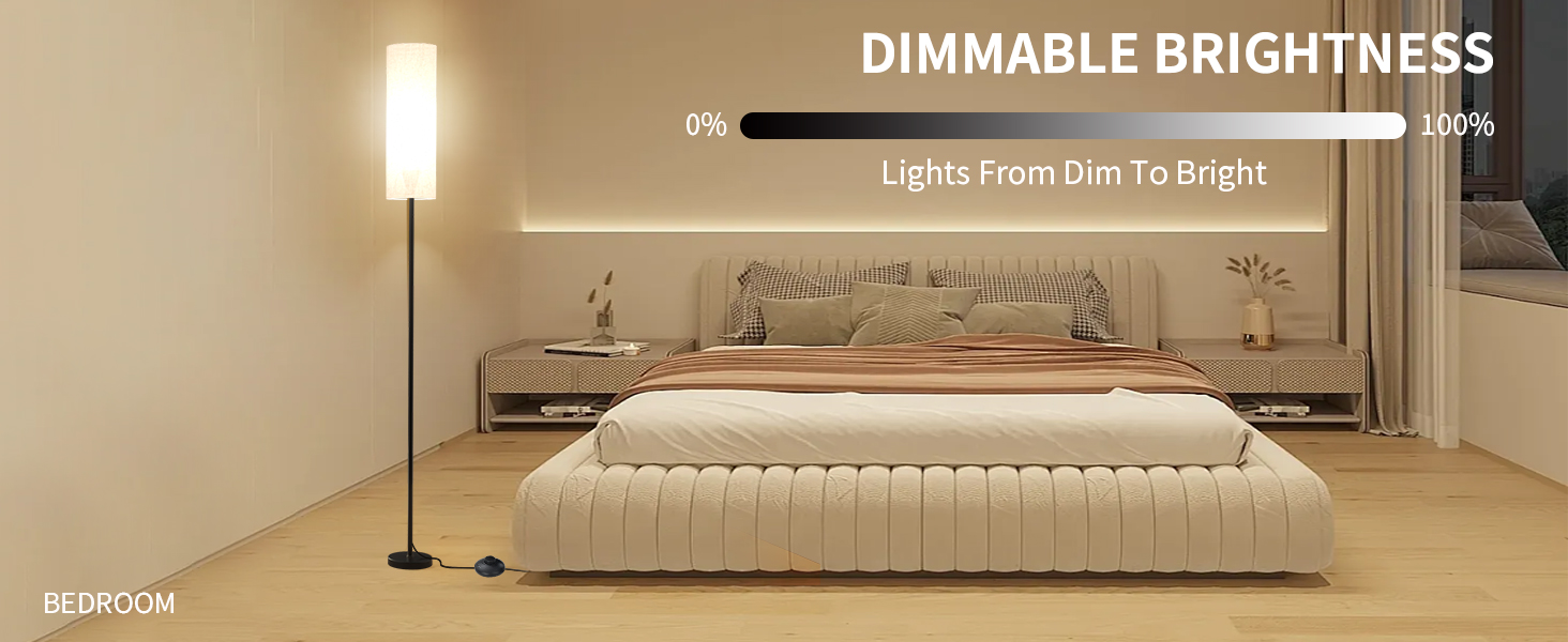 dimmable Floor Lamp