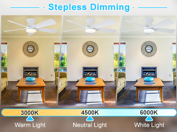 ceiling fan with light