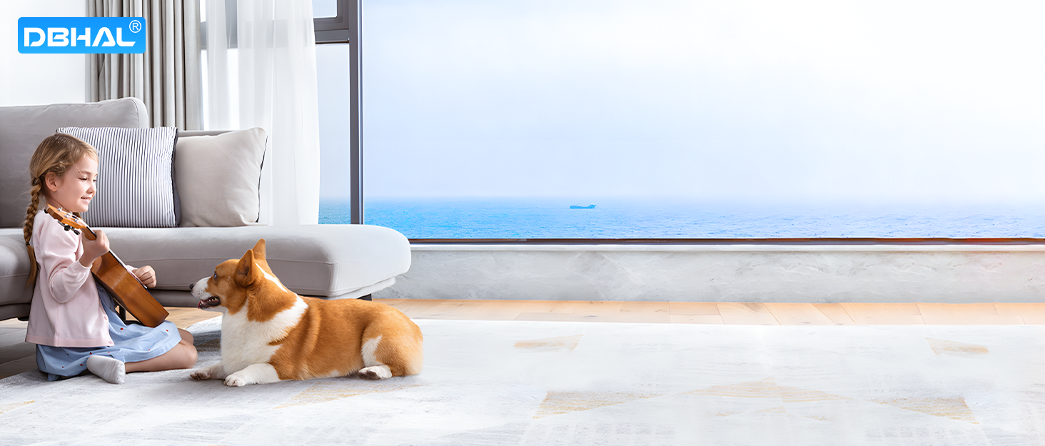 Handheld Vacuum Cordless
