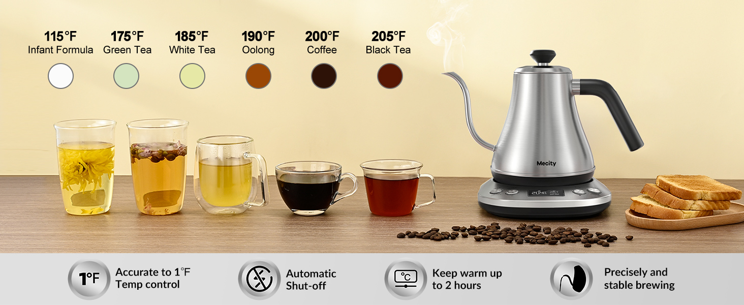 Electric Kettle with Temperature Control