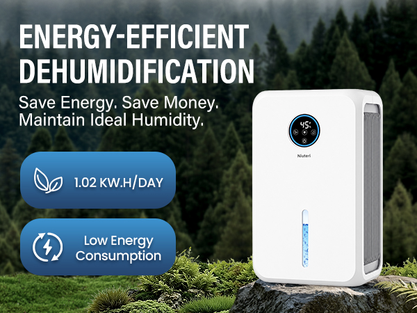 dehumidifier