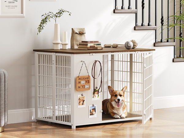 Dog Crate