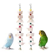 Acsist 2 Pack Bird Toys, Parakeet Toys with Cuttlebone, Natural Cuttle Bone Bird Beak Grinding St...
