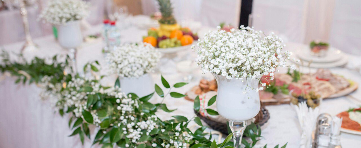 baby breath flowers