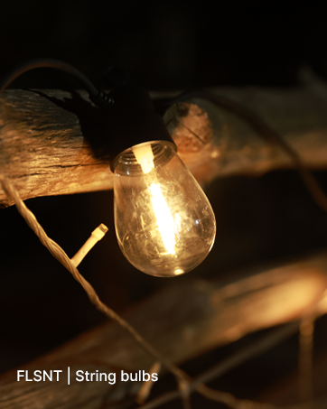 LED BULB