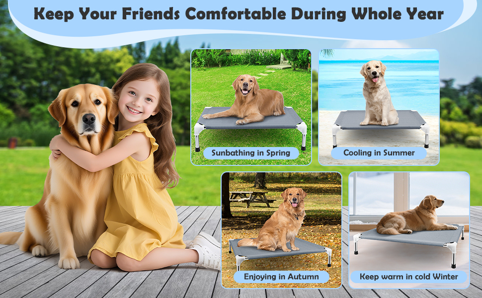 Elevated Cooling Dog Bed 3