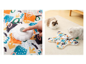 cat toys