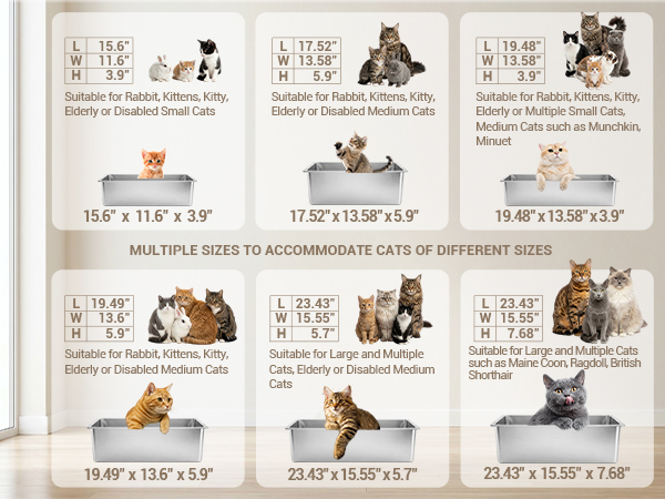 litter box