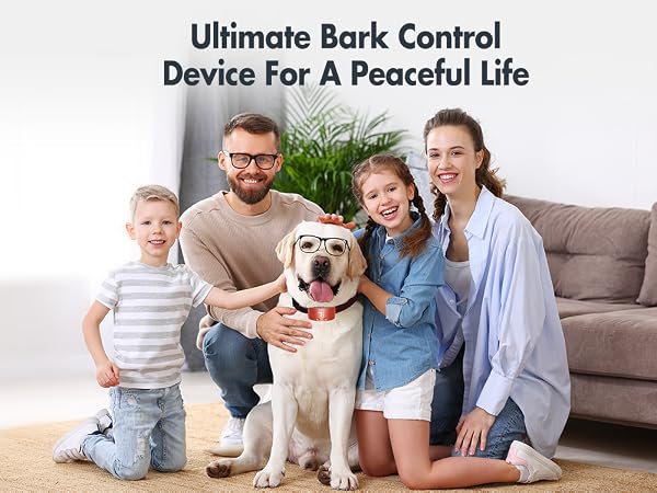 vibrating dog collar no shock