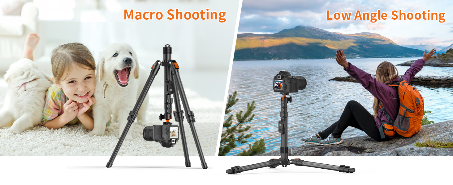 Low-angle & Macro shooting