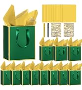 12 Pack DIY Metallic Paper Gift Bags With Handles, Tissue Paper And Painting Pens, 9"X7"X3" 5 Sen...