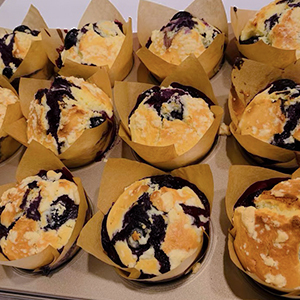 Tulip Cupcake Wrappers