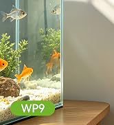 alexa power strip
