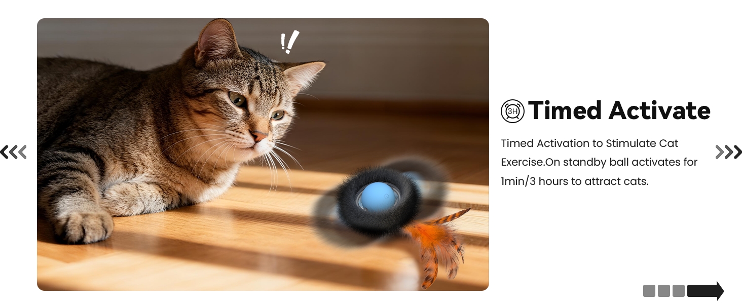 cat toy
