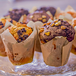 Tulip Cupcake Wrappers