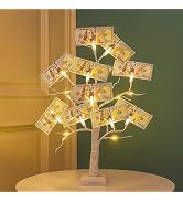 Woohaha 2FT Money Tree with Holder,24LED Lighted Birch Tree Table Centerpiece,Gift Card Battery/U...