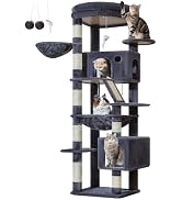 Taoqimiao 71-Inch Cat Tree for Indoor Cats, Heavy Duty Cat Tower for Large Multiple Cats, Multi-L...