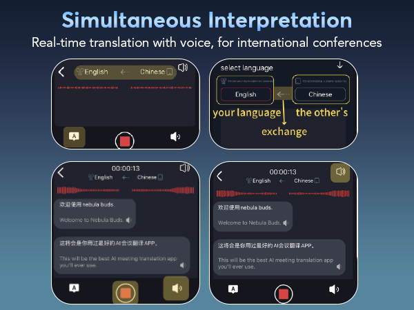 simultaneous interpretor