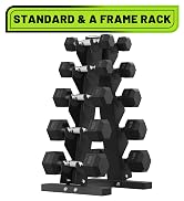 Dumbbells Set with Rack