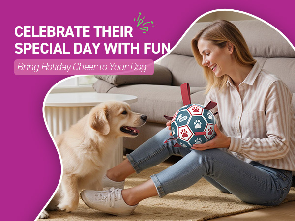 Best gifts for dogs