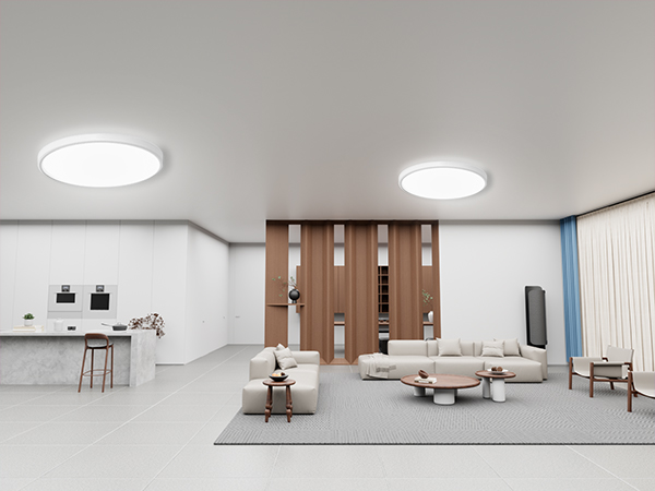 LED Ceiling Light
