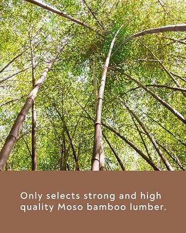 https://m.media-amazon.com/images/S/aplus-media-library-service-media/0849b3d6-b762-458f-b906-6d3c6db4a4b3.__CR0,0,724,906_PT0_SX362_V1___.jpg